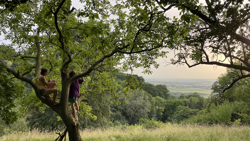 Erdfest 2023 St Andrae